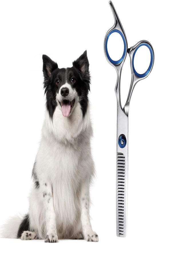 سكويشي مقص تزيين الكلاب، مقص قص شعر الكلاب، مقص أسنان بغطاء وحلقة زرقاء، قطعة واحدة للكلاب والقطط، مثالي لتزيين الحيوانات الأليفة في المنزل أو الصالون - Image 1